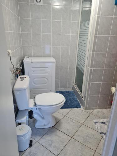 une salle de bain avec toilettes et douche dans l'établissement Studio indépendant à la campagne, proche Paray le Monial, à Volesvres