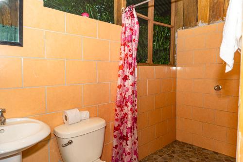 a bathroom with a toilet and a sink at Citronela Lodge Corcovado in Drake