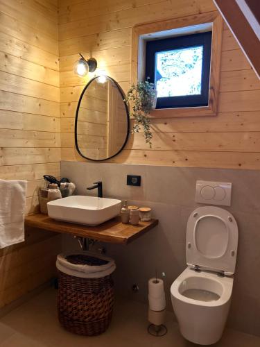 a bathroom with a toilet and a sink and a mirror at Molika Forest House in Kolašin