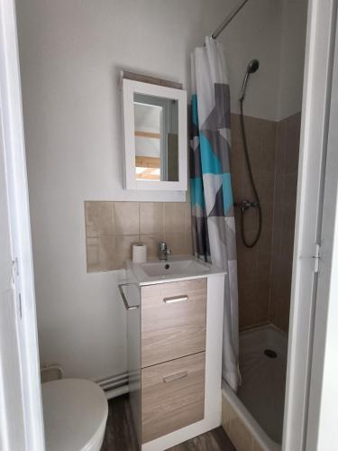a bathroom with a toilet and a sink and a shower at appartement cosy et central in Rennes