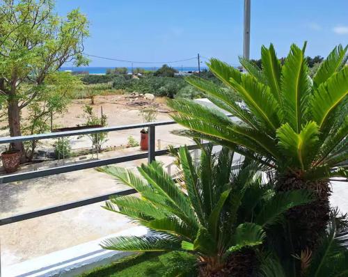a palm tree sitting next to a metal fence at Mare Nostrum in Koutsounari