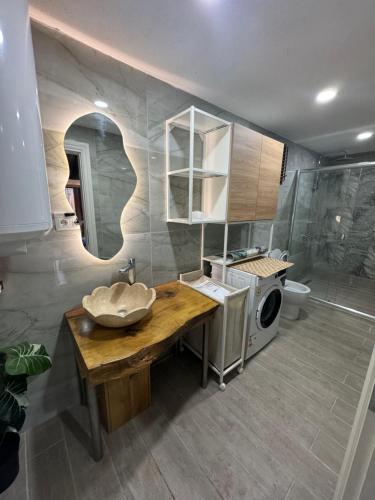 a bathroom with a sink and a washing machine at BiOrman Resort in Istanbul