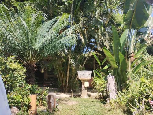 Taman di luar Bosque do Arraial