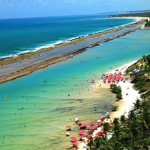 a beach with umbrellas and people in the water at MALIA MURO ALTO STUDIO 300m DO MAR in Porto De Galinhas
