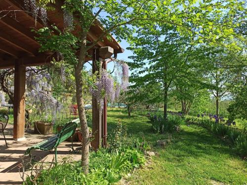 a garden with a bench and a tree with wisterias at Agriturismo Casa Greppo in San Venanzo