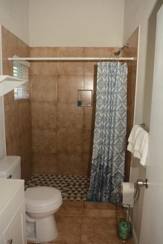 a bathroom with a shower curtain and a toilet at Exuma Beach Point in Rolleville