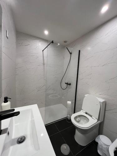a bathroom with a shower and a toilet and a sink at Martins' Happy Home in Coimbra