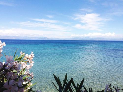 Villa Diana Beachfront Vacation Home