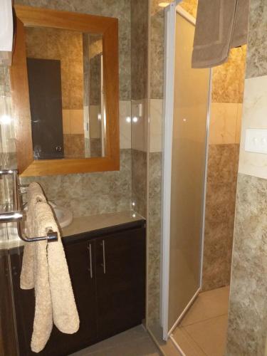 un bagno con doccia, lavandino e specchio di Apt 2 Great Mountain Views In Nadi , My Ecolodge a Nadi