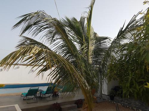 a palm tree sitting next to chairs on the beach at African Jaja villa Piscine-Climatisation in Poponguine
