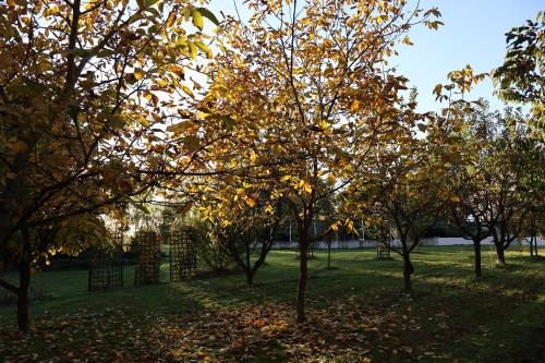 Ein Garten an der Unterkunft Rezydencja Pod Platanem