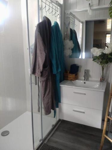 une salle de bain avec une douche, un lavabo et un miroir dans l'établissement CABANE, BUNGALOW, BULLE ET SPA LE REFUGE ZEN ET BIEN ETRE, à Montpouillan