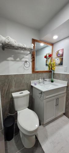 a bathroom with a toilet and a sink and a mirror at Holiday Hideout Basement Unit in Pickering