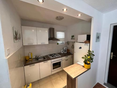 Kuchyň nebo kuchyňský kout v ubytování Casa Nela