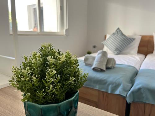 En eller flere senge i et værelse på Ocean view by Charmes B