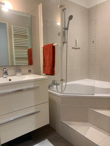 une salle de bain avec une douche, une baignoire et un lavabo dans l'établissement Spacious and central apartment, à Reims