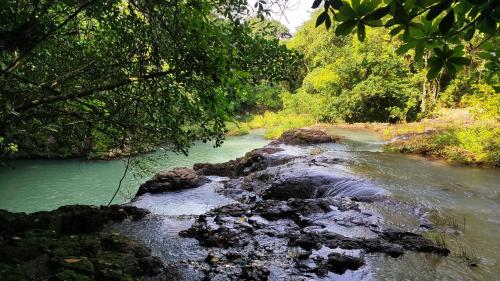 a river with rocks in the middle of a forest at Las Catalinas Ecológicas (El Maizal) in Antón