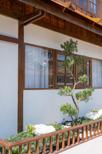 a small pine tree in front of a building at Thongkwao house in Chiang Mai