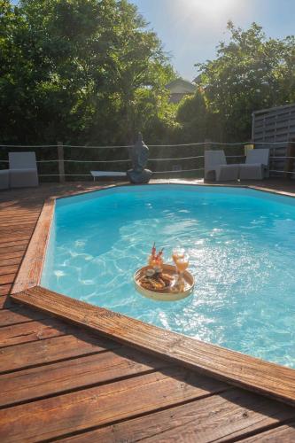 a swimming pool with a toy in the water at Exotic Villa avec Piscine in Le Vauclin