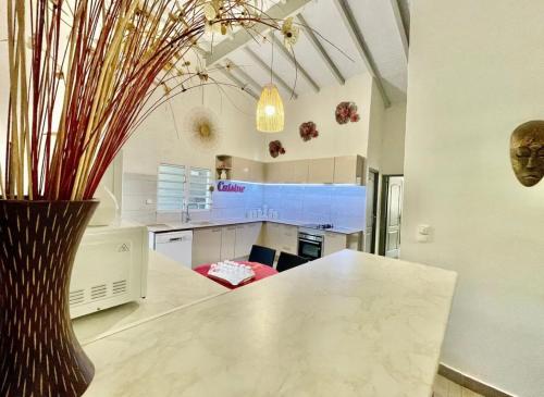 a kitchen with a table and a vase with a plant at Exotic Villa avec Piscine in Le Vauclin