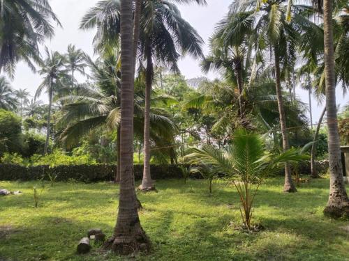 a group of palm trees in a park at Delft Cultural Home Stay in Delft East