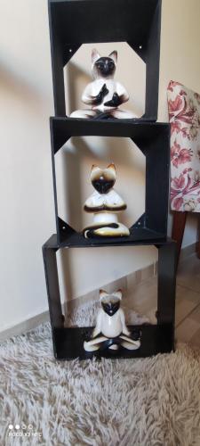 a black shelf with shoes and a cat on it at Casa Azul in Porto Seguro