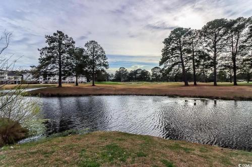 a pond in a park with trees in the background at Beautiful 1500 s f 3 Bd - 2 Ba condo overlooking stream and golf course in Myrtle Beach