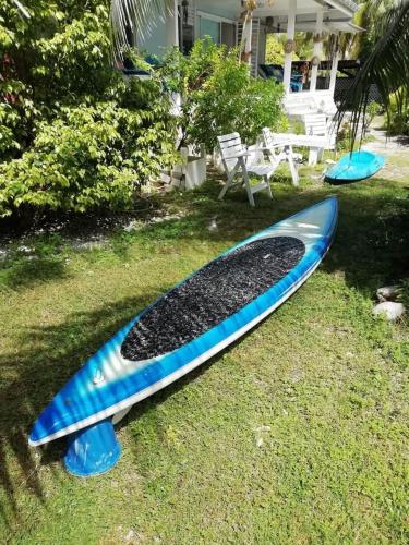 a surfboard sitting on the grass in a yard at LE FARE BLEU Tiputa Rangiroa in Tiputa