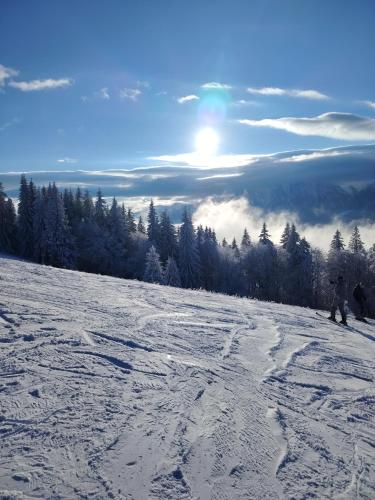 a person riding a snowboard down a snow covered slope at Palazzo Transylvania-Bran in Sohodol