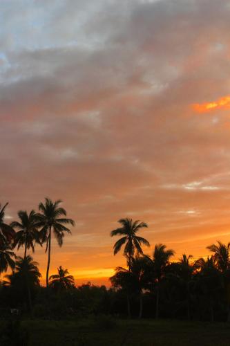 a sunset with palm trees in the foreground at Casa De Amor Lambug in Badian