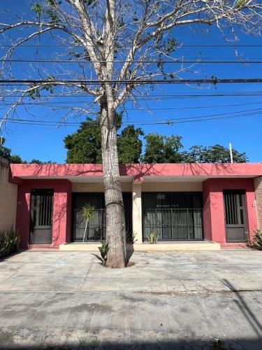 a red building with a tree in front of it at departamento sisal 1 in Valladolid