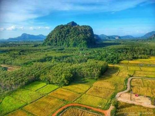 an aerial view of a field with a mountain at Buketree homestay satun in Ban Khok