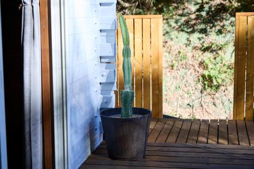 a cactus in a pot sitting on a porch at vihrea in Ōtaki