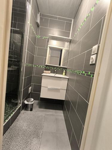 une salle de bain avec un lavabo et une douche dans l'établissement LeRelaisdOdile - Idéal PRO & Couple - Studio Cosy - Proche Metro - Parking Gratuit - Mons-en-Barœul - - WIFI HD - Smart TV - Entrée Autonome, à Mons-en-Baroeul