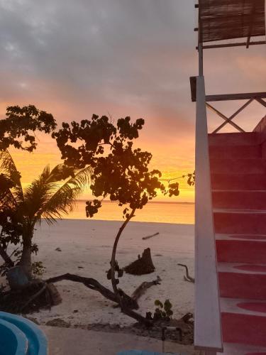 a tree on the beach with the sunset in the background at Noel Cottage in Ngurblut