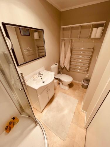 a bathroom with a sink and a toilet and a shower at The Lazy Surfer in New Plymouth