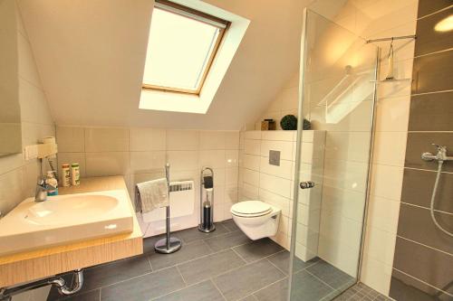 une salle de bain avec toilettes, lavabo et douche dans l'établissement Auerhahn Ferienhäuser Auerhahn 403, à Hahnenkopf