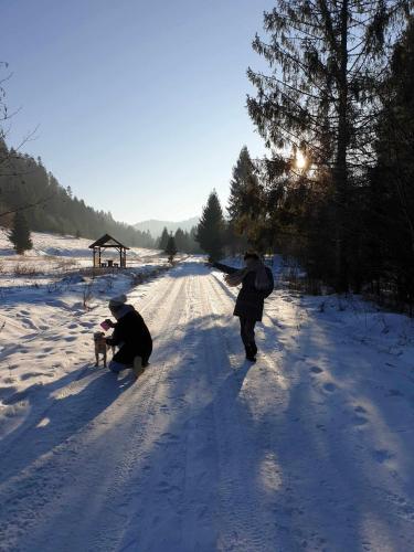 two people walking a dog down a snow covered road at Agrorelax in Veľký Lipník