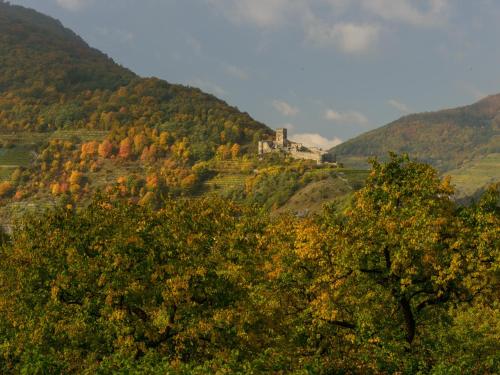 a hill with trees and a castle in the distance at Gästehaus Familie Trachsler in Rohrendorf bei Krems