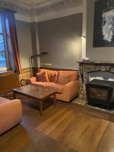 a living room with a couch and a fireplace at LA DILIGENCE in Jalhay