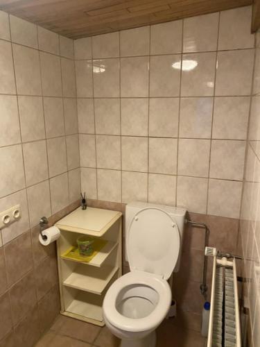 a small bathroom with a toilet and a sink at LA DILIGENCE in Jalhay