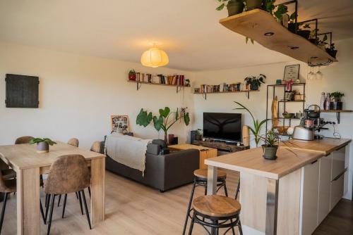 Magnifique appartement entre lac et montagne