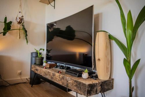 un téléviseur à écran plat posé sur une table dans l'établissement Magnifique appartement entre lac et montagne, à Poisy