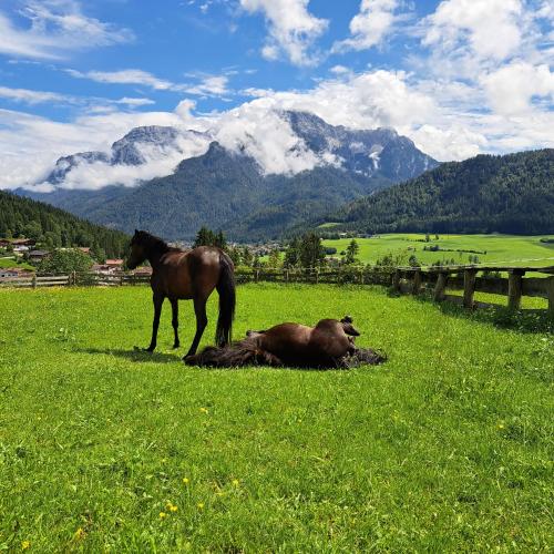 ファームステイから撮影された、または一般的な山の景色