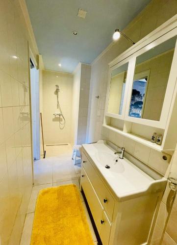 a bathroom with a sink and a shower at De Groondbössel in Enschede