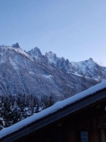 Appartement ensoleillé aux Tines, vue Massif photo 16
