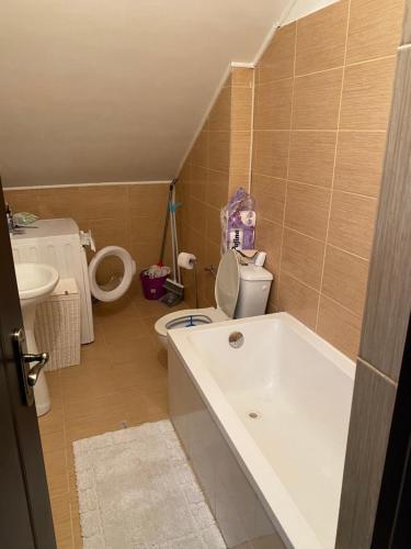 Koupelna v ubytování Sofia apartament