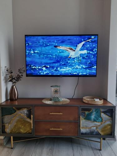 a tv on a wall with a bird flying over water at Few Steps to the Bay in Jūrmala
