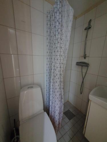 Koupelna v ubytování 5 sovrum 9 bäddar 12 sovplatser