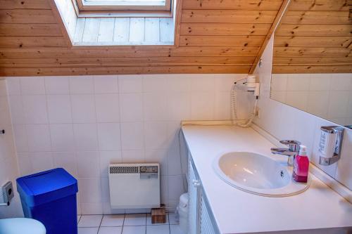 Vannituba majutusasutuses Auerhahn Ferienhäuser Auerhahn 404